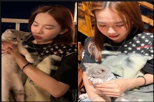 Poster of Bảo Ngọc lộ video táo bạo gây tranh cãi